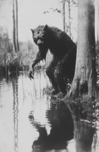 rougarou