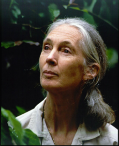 επικοινωνια με ζωα