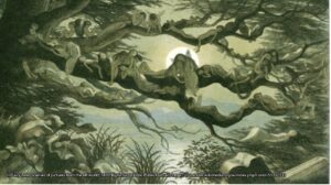 strange bizare allien fairies